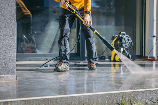 Best House Exterior Washing  in Hector, MN